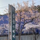[경남/김해] 김해 항아리수제비 칼국수 맛집 배가네 흥동수제비 본점 주말 웨이팅후기