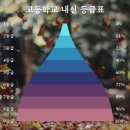 옥빛중 이미지