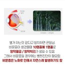 으뜸플러스안경원 이미지