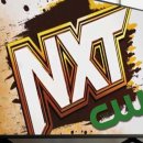WWE NXT, 리아 리플리, LA 나이트, 조이 스타크 & 테간 녹스 外 이미지