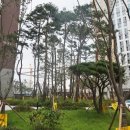 유보라탑공인중개사사무소 이미지