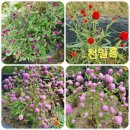 청양농장 이미지