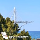 1급제일스카이정비 | 삼척 해상스카이워크 전망대 입장료 주차장 새천년해안도로
