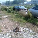 양파 노래연습장 이미지