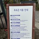 푸르곤 두 돌(23개월)아기랑 강아지랑 제주여행 애월 애견동반카페 <b>푸르곤</b>