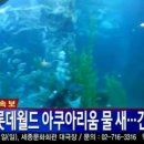 타이어월드뱅크 이미지