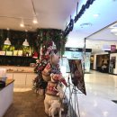 에브리데이(Everyday) | 일산 뉴코아 에브리데이 크리스마스 홀케이크+커피 9900원 내돈내산 후기