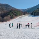 보행자전용도로 3-322 | 무주스키장 렌탈샵 추천 초보도 걱정없는 무주 스키강습