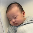시골한달 | 두상베개, 잘 때만 써야 할까요? 니노필로우 두상베개 한달 사용 후기 및 사용 방법