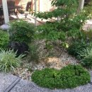 조이네집 이미지