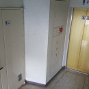 하단동1176 이미지