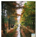 칸토피아노학원 이미지