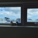 월정그곳 이미지