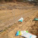 종구농장 이미지