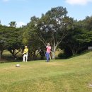 도리초등학교 이미지