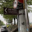 상동 지석묘군 이미지