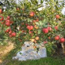 과반농장 이미지