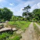 신보령공인중개사사무소 이미지