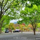 무릉도원면-18 이미지