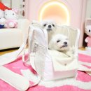 행복한세탁 | 강아지 이동가방 쉼쉼가방 L사이즈 후기 세탁 방법