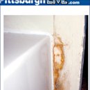 06-0000042048 이미지