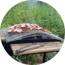 여울산장 이미지