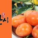 청도신화랑풍류마을(화랑촌) 이미지