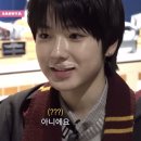 [도쿄] 워너 브라더스 스튜디오 투어 도쿄 입장권 예약, 가는 법