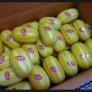 한종농장 이미지