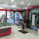 숲속안경원 이미지