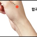체기글만