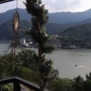 빈스로드 이미지