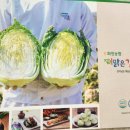 화원농협김치가공공장 이미지