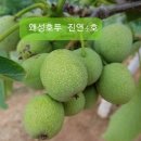 무안-4호 이미지