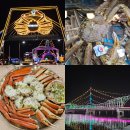 강구항 | 바꿔치기 당했지만 맛있었던 강구항 영덕대게거리 맛집 솔직 후기