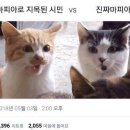 노란딱지때문에 유튜브채널 폐쇄한 남유튜버 이미지