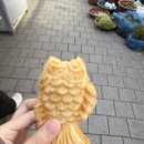 윤들펜션 이미지