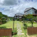 라 팡시옹 이미지