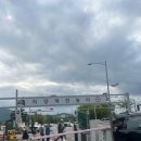 (주)케미그라스 서울경인지점 | 인천 꽃축제 장소 계양 아라온 🌼 백일홍축제 가을꽃 국화축제