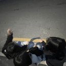 팬더리아 이미지