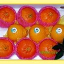 해종농장 이미지