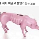 부리또피아 건국대점 네이버블로그