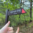 죽파리 경로당 이미지