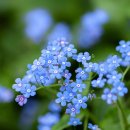 영산포풍물시장 이미지