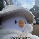 이오 | ❤️‍🔥겨울 필수템 추천! 하루종일 따듯한 [시나몬이오 핫팩] 사용 후기❤️‍🔥