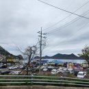 천안당호두과자 이미지