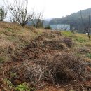 잉꼬농장 이미지