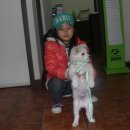 풍경동물병원 이미지