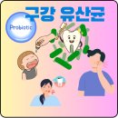 헤세드유통 | 잇몸 건강 구강 유산균 효능 추천 입냄새 제거 효과