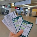 웰리힐리파크 | 웰리힐리파크 리조트 스키장 내돈내산 후기 슬로프 할인